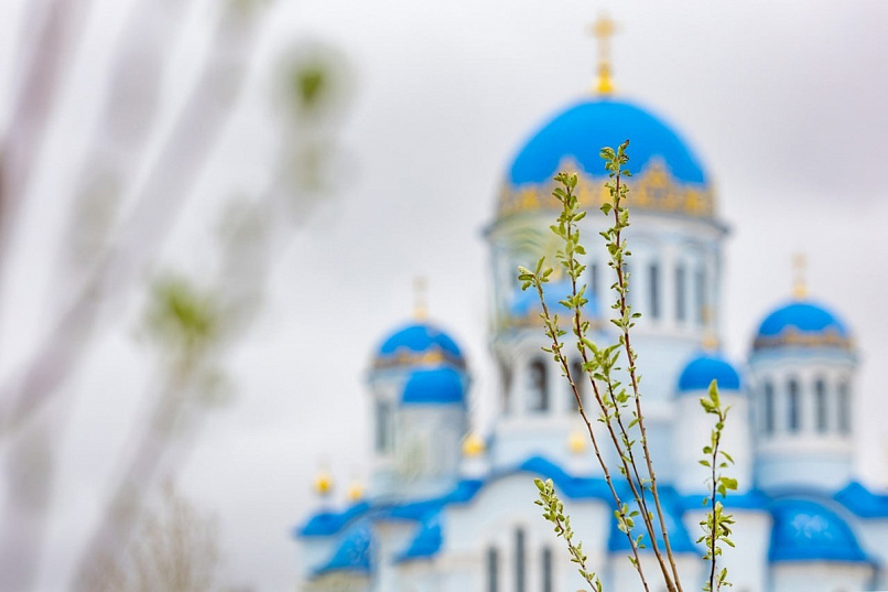 Сургутские выпускники подарили городу новую аллею: 20 сибирских яблонь украсили сквер у Свято-Троицкого собора