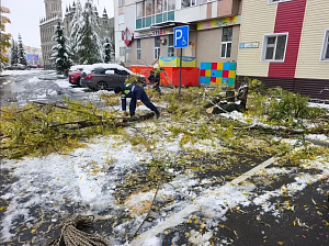 В Сургуте восстановили электроснабжение всех 28 СНТ после непогоды