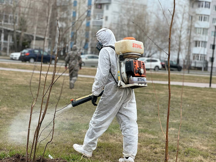 Сургут объявляет наступление на клещей: масштабная акарицидная обработка стартует в мае
